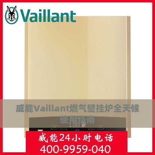 威能Vaillant燃气壁挂炉全天候使用指南