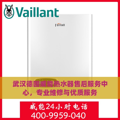 武汉德国威能热水器售后服务中心，专业维修与优质服务