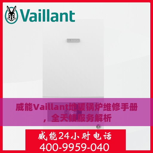 威能Vaillant地暖锅炉维修手册，全天候服务解析