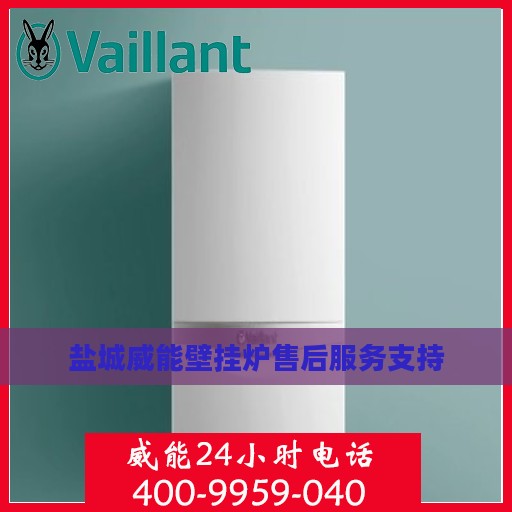 盐城威能壁挂炉售后服务支持