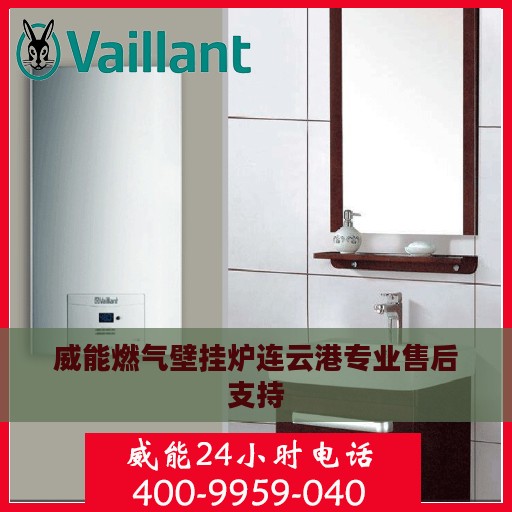 威能燃气壁挂炉连云港专业售后支持