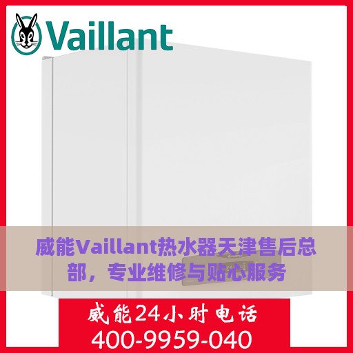威能Vaillant热水器天津售后总部，专业维修与贴心服务