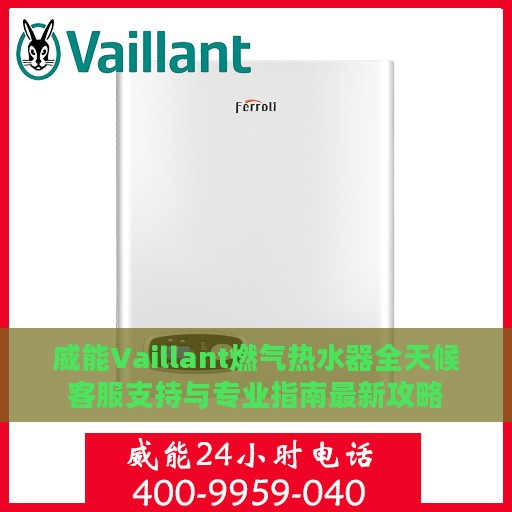 威能Vaillant燃气热水器全天候客服支持与专业指南最新攻略