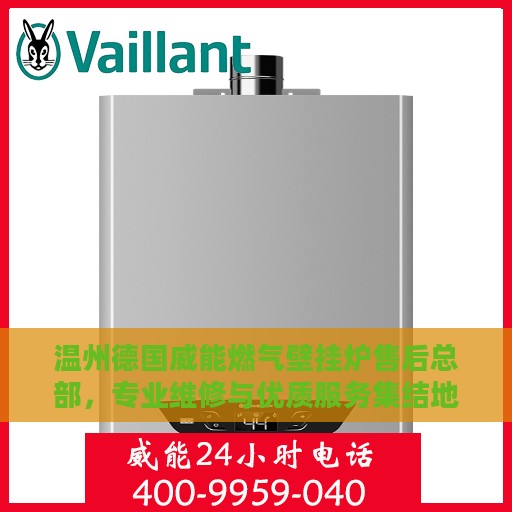 温州德国威能燃气壁挂炉售后总部，专业维修与优质服务集结地