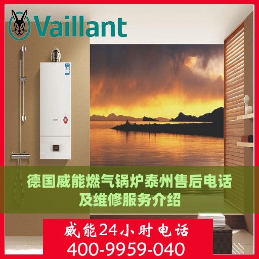 德国威能燃气锅炉泰州售后电话及维修服务介绍