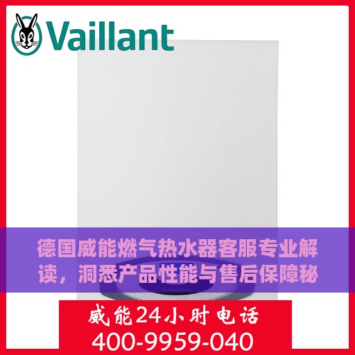 德国威能燃气热水器客服专业解读，洞悉产品性能与售后保障秘籍