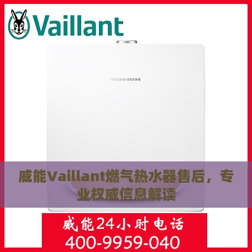 威能Vaillant燃气热水器售后，专业权威信息解读