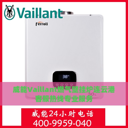 威能Vaillant燃气壁挂炉连云港客服热线专业服务