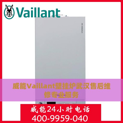威能Vaillant壁挂炉武汉售后维修专业服务