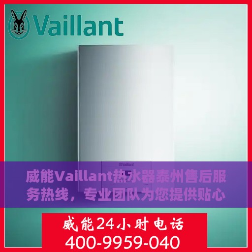 威能Vaillant热水器泰州售后服务热线，专业团队为您提供贴心服务