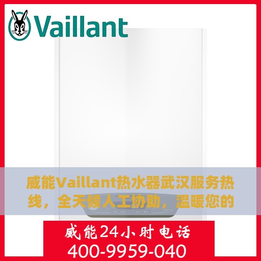 威能Vaillant热水器武汉服务热线，全天候人工协助，温暖您的生活