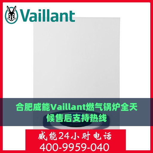 合肥威能Vaillant燃气锅炉全天候售后支持热线