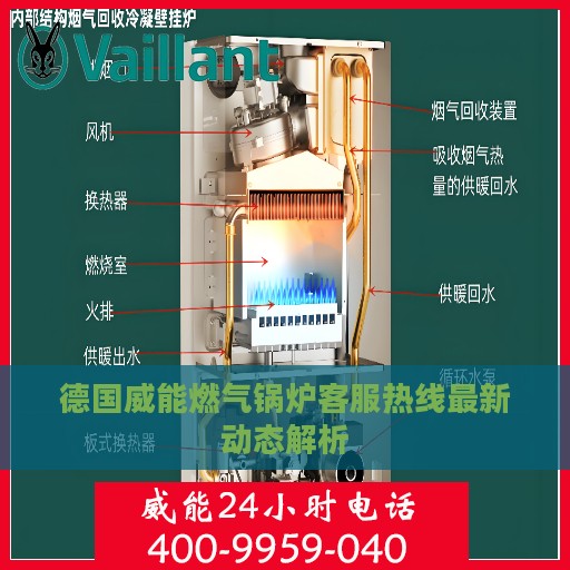 德国威能燃气锅炉客服热线最新动态解析