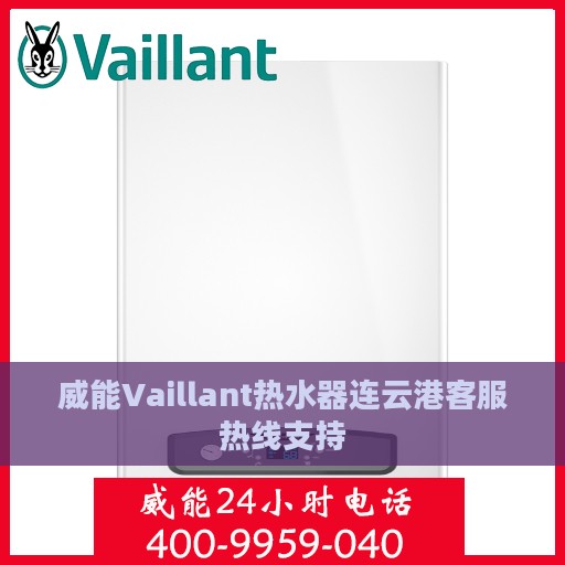 威能Vaillant热水器连云港客服热线支持