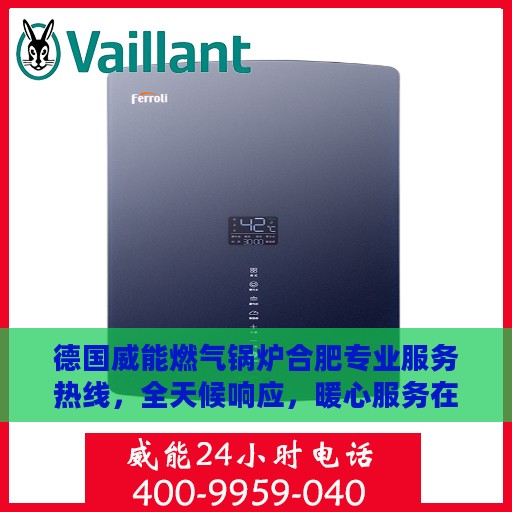 德国威能燃气锅炉合肥专业服务热线，全天候响应，暖心服务在身边