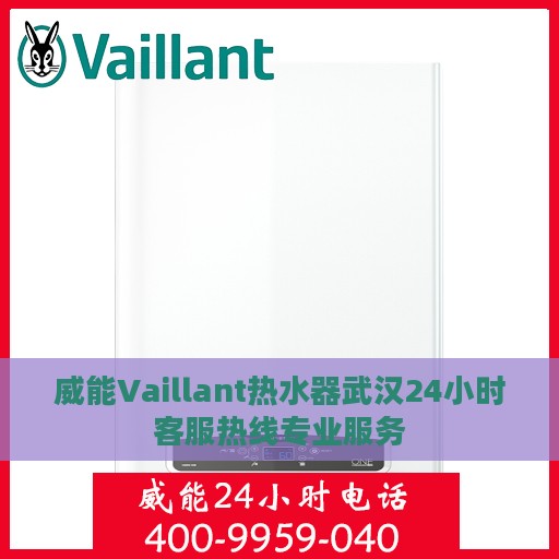 威能Vaillant热水器武汉24小时客服热线专业服务