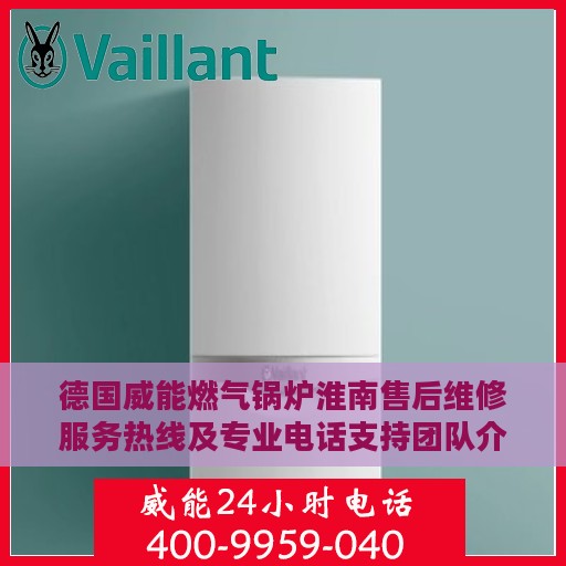 德国威能燃气锅炉淮南售后维修服务热线及专业电话支持团队介绍