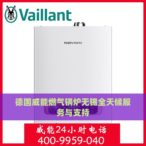 德国威能燃气锅炉无锡全天候服务与支持