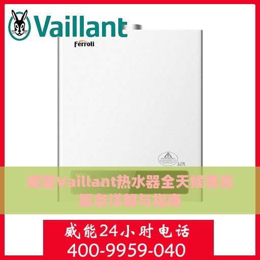 威能Vaillant热水器全天候售后服务详解与指南