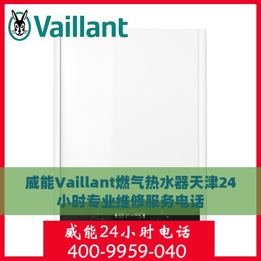 威能Vaillant燃气热水器天津24小时专业维修服务电话