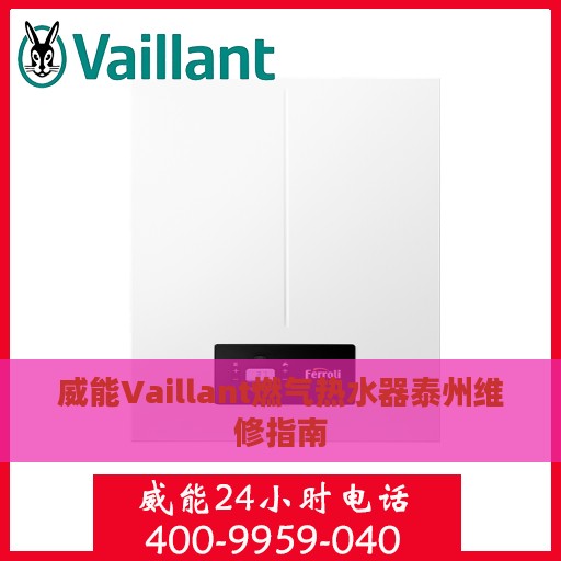 威能Vaillant燃气热水器泰州维修指南