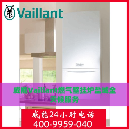 威能Vaillant燃气壁挂炉盐城全天候服务