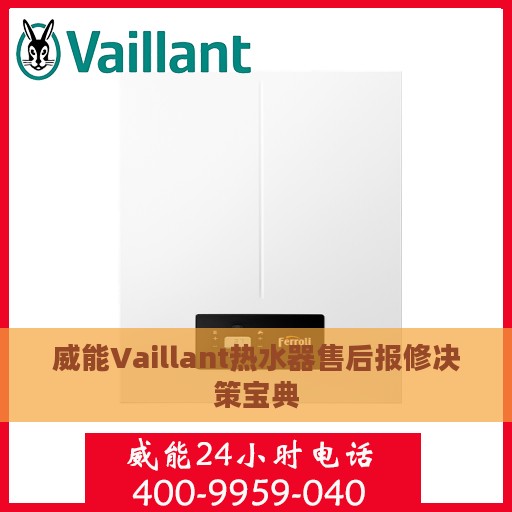 威能Vaillant热水器售后报修决策宝典