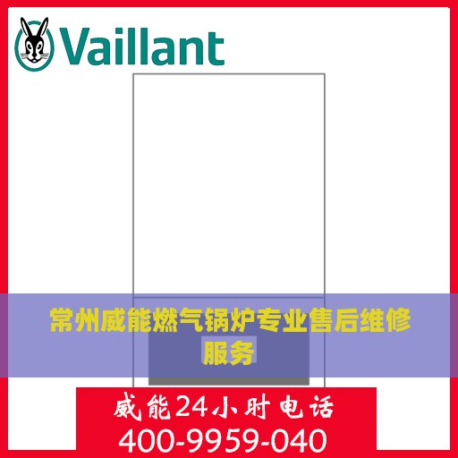 常州威能燃气锅炉专业售后维修服务