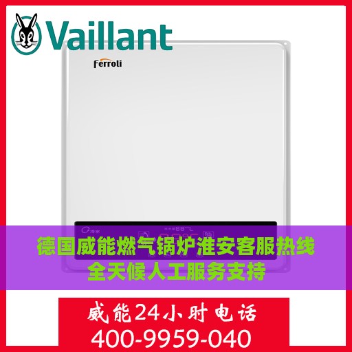 德国威能燃气锅炉淮安客服热线全天候人工服务支持