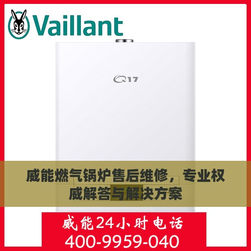 威能燃气锅炉售后维修，专业权威解答与解决方案