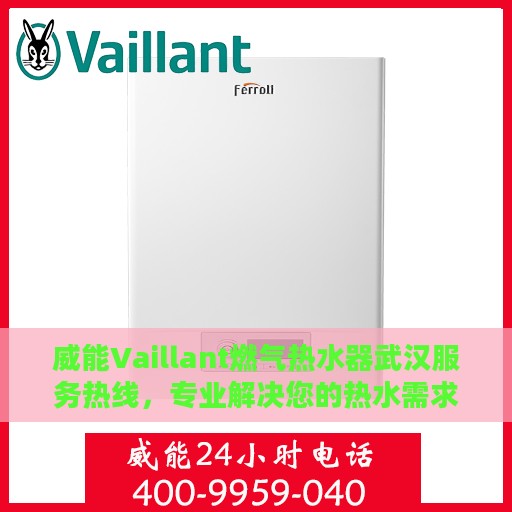 威能Vaillant燃气热水器武汉服务热线，专业解决您的热水需求
