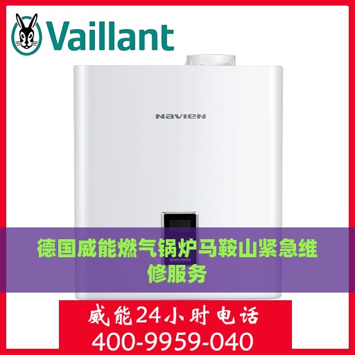 德国威能燃气锅炉马鞍山紧急维修服务