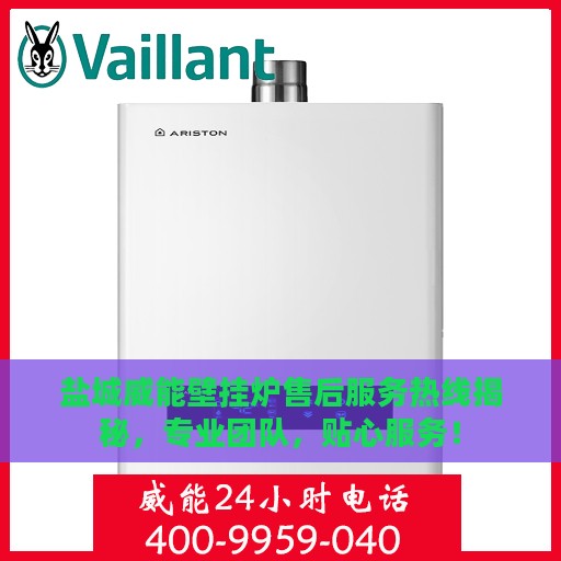 盐城威能壁挂炉售后服务热线揭秘，专业团队，贴心服务！