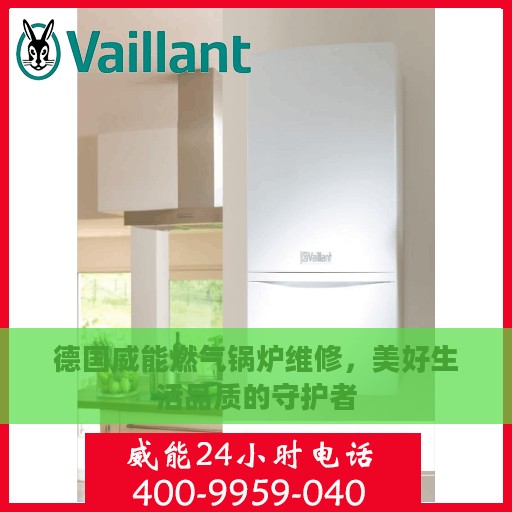 德国威能燃气锅炉维修，美好生活品质的守护者