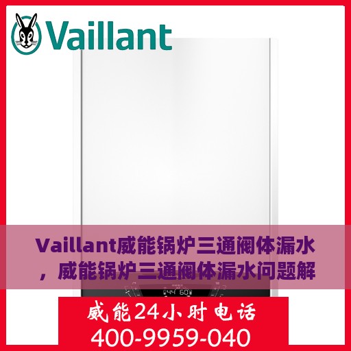 Vaillant威能锅炉三通阀体漏水，威能锅炉三通阀体漏水问题解析与应对方案