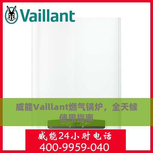 威能Vaillant燃气锅炉，全天候使用指南