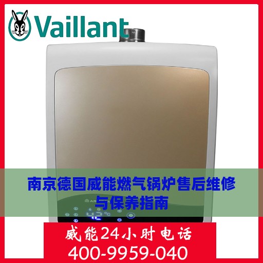 南京德国威能燃气锅炉售后维修与保养指南