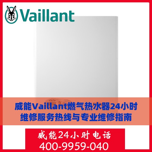 威能Vaillant燃气热水器24小时维修服务热线与专业维修指南