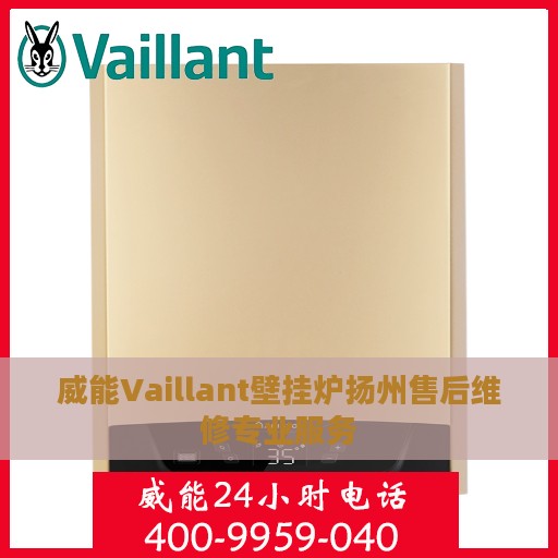 威能Vaillant壁挂炉扬州售后维修专业服务