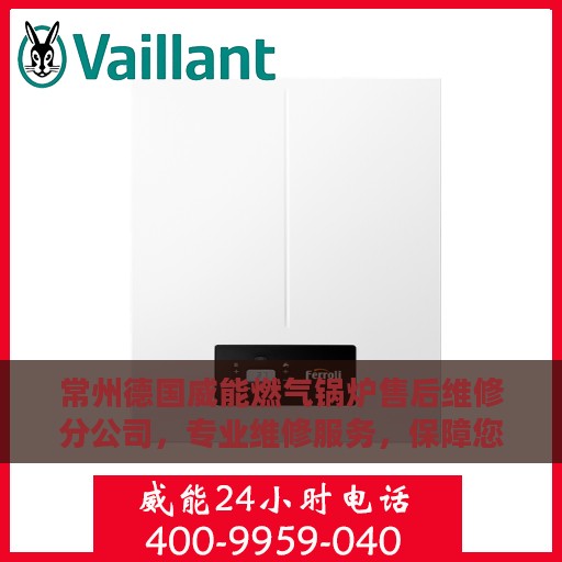 常州德国威能燃气锅炉售后维修分公司，专业维修服务，保障您的温暖生活