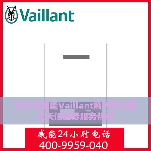 长沙市威能Vaillant燃气热水器全天候维修服务热线