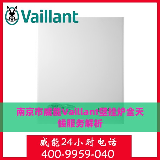南京市威能Vaillant壁挂炉全天候服务解析