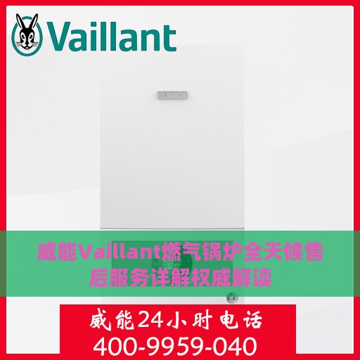 威能Vaillant燃气锅炉全天候售后服务详解权威解读