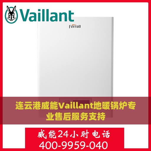 连云港威能Vaillant地暖锅炉专业售后服务支持