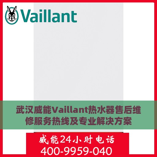 武汉威能Vaillant热水器售后维修服务热线及专业解决方案