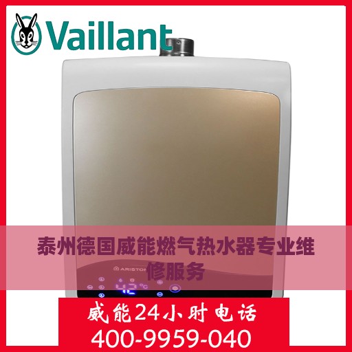 泰州德国威能燃气热水器专业维修服务