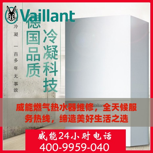 威能燃气热水器维修，全天候服务热线，缔造美好生活之选