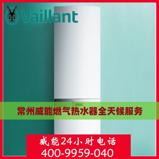 常州威能燃气热水器全天候服务
