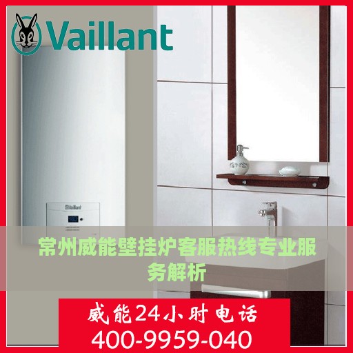 常州威能壁挂炉客服热线专业服务解析