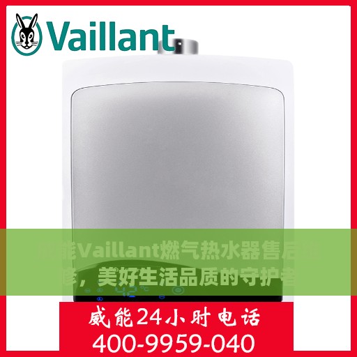 威能Vaillant燃气热水器售后维修，美好生活品质的守护者